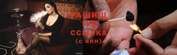 ALPHA-PVP Богородицк