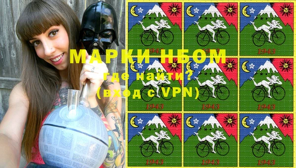 твердый Бородино