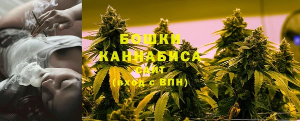 твердый Бородино