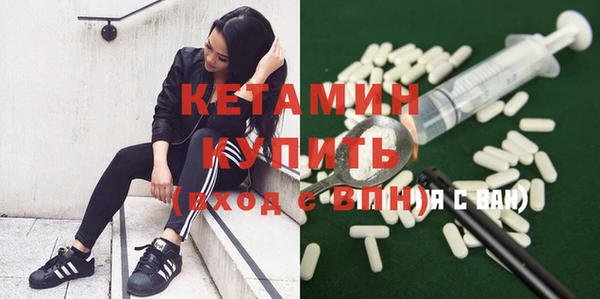 твердый Бородино